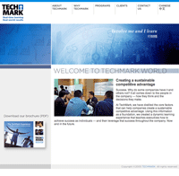 TechMark Website
