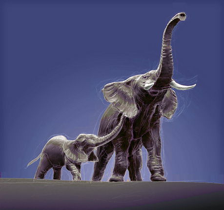 Drawing of toy elephants