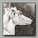 Drawing of marble sculpture of a greyhound
